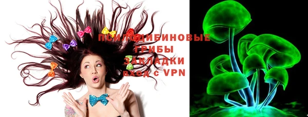 ГАЛЛЮЦИНОГЕННЫЕ ГРИБЫ Богданович