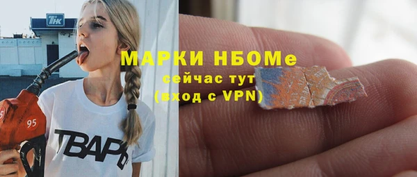 ГАЛЛЮЦИНОГЕННЫЕ ГРИБЫ Богданович
