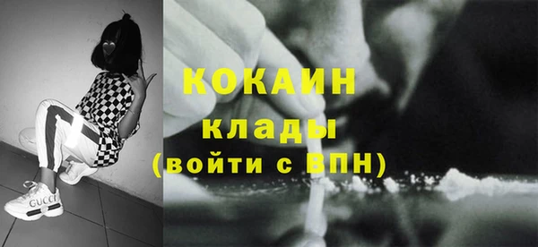 ГАЛЛЮЦИНОГЕННЫЕ ГРИБЫ Богданович