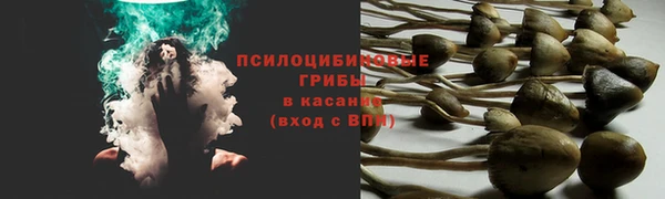 мяу мяу мука Бронницы
