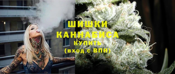ГАЛЛЮЦИНОГЕННЫЕ ГРИБЫ Богданович