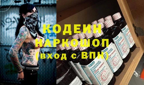 ГАЛЛЮЦИНОГЕННЫЕ ГРИБЫ Богданович