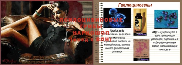 стафф Бугульма