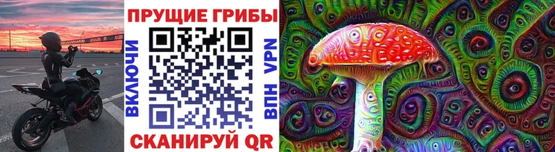 Галлюциногенные грибы ЛСД  shop наркотические препараты  Княгинино  как найти закладки 